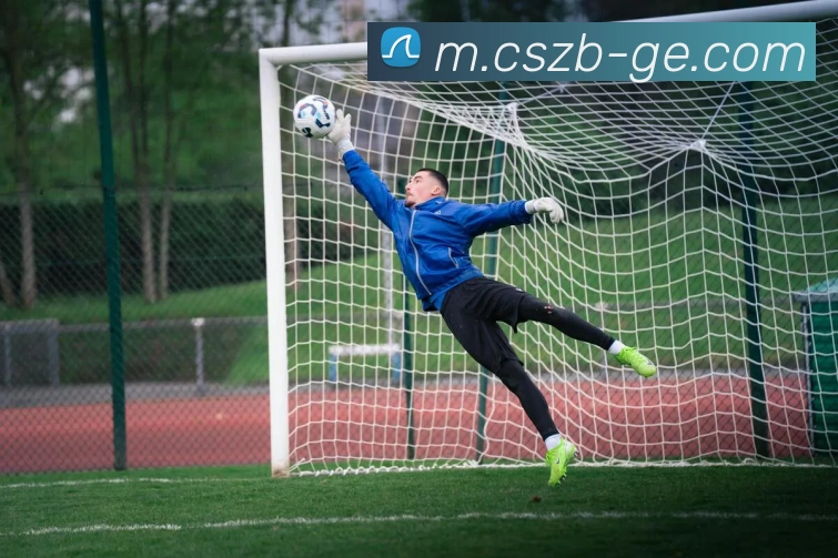 彩神争霸平台生态图